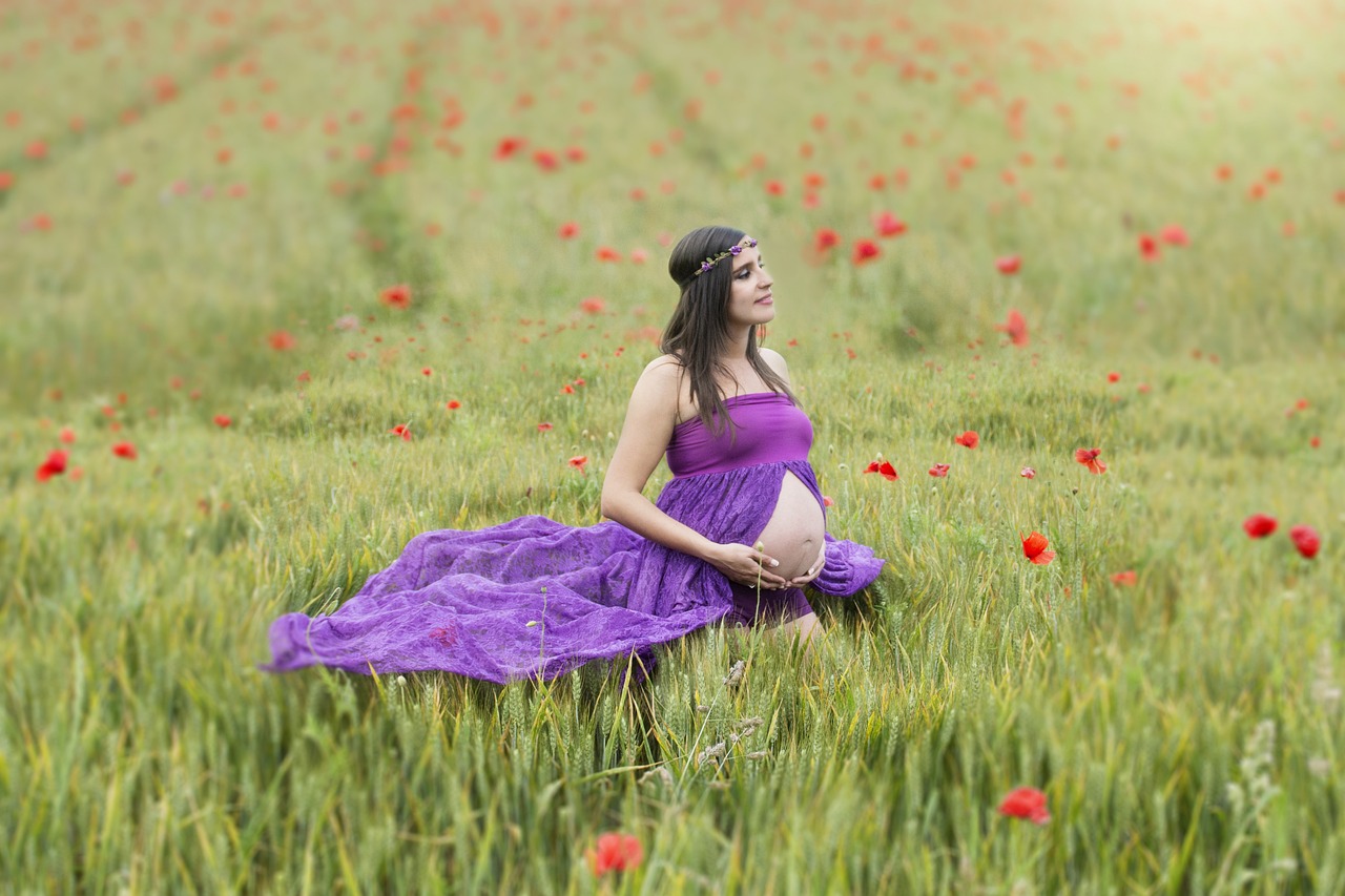 pregnancy, wheat, pregnant-1580864.jpg